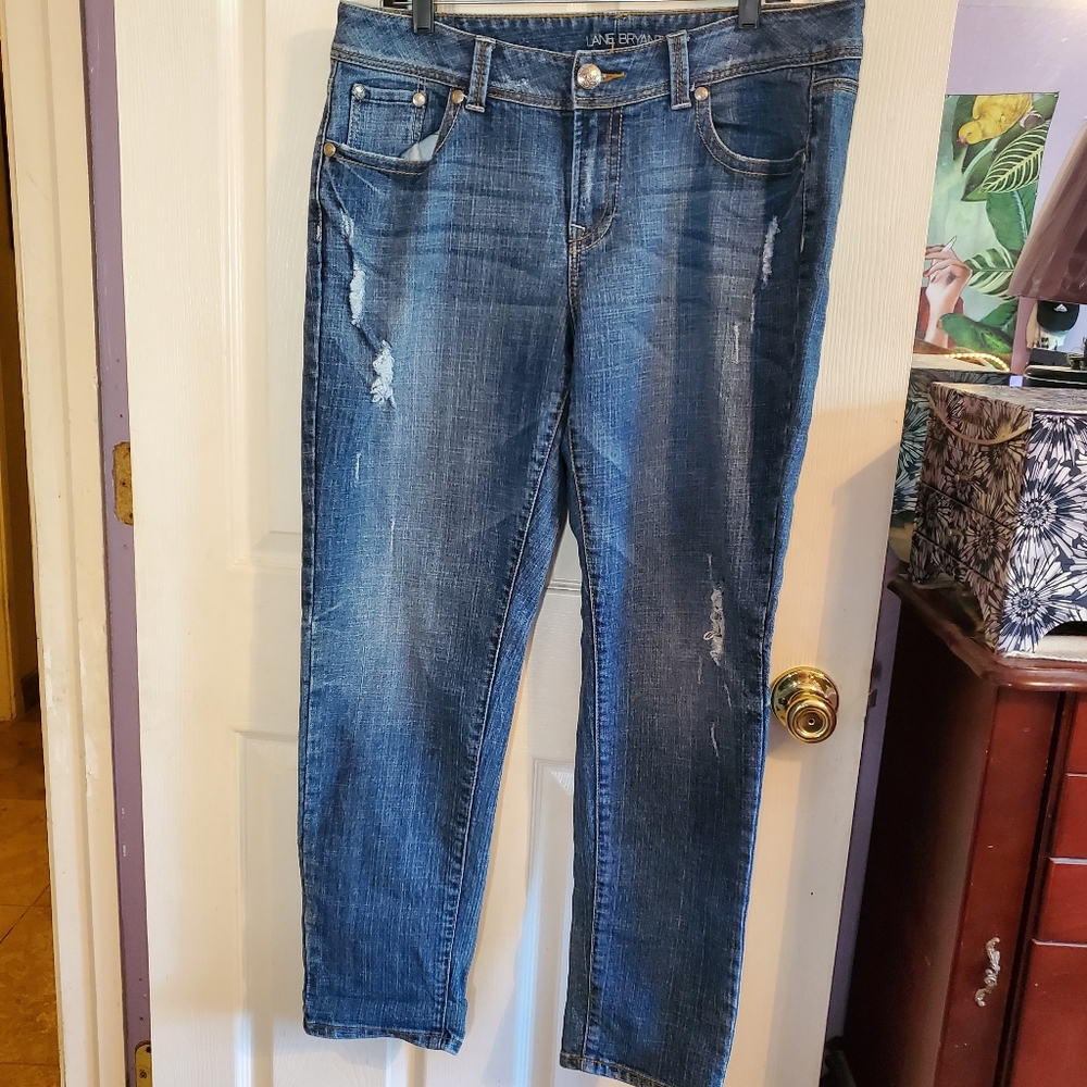 Lane Bryant Distressed Medium Wash Straight Leg Blue Jeans Size 1…
